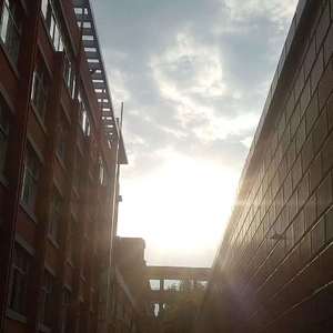 桃子视频网站免费观看网
