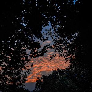 桃子视频网站免费观看网
