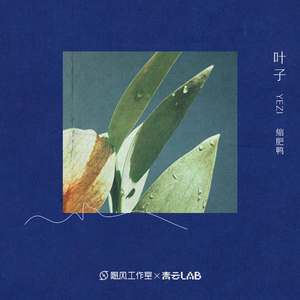 桃子视频网站免费观看网
